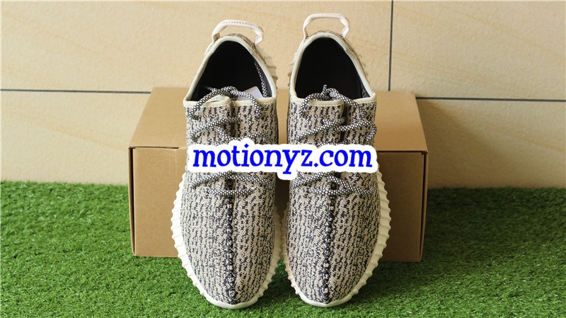 God Version Yeezy Boost 350 Turtle Dove